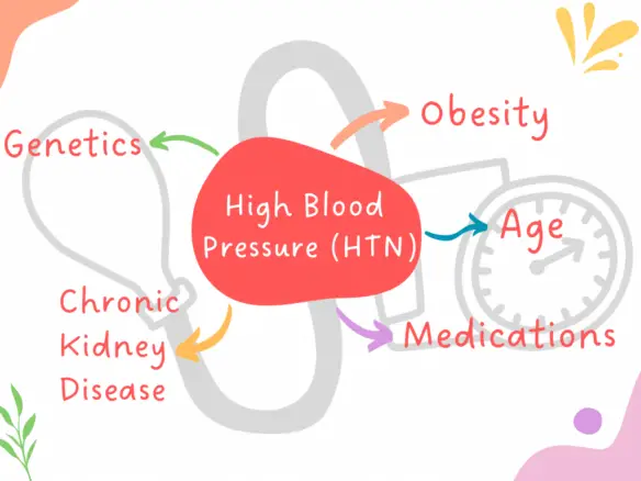 What causes high blood pressure (HTN)?
